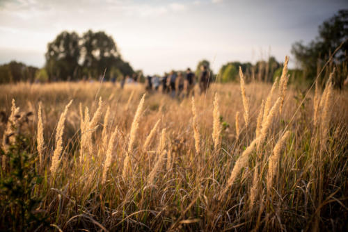 Verschlungene Dörfer, fotografiert von Thomas J. Bär